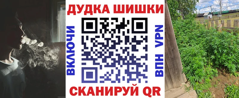 Канабис семена  как найти   Чадан 
